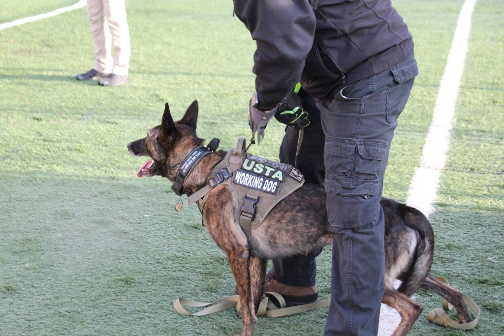 protection training