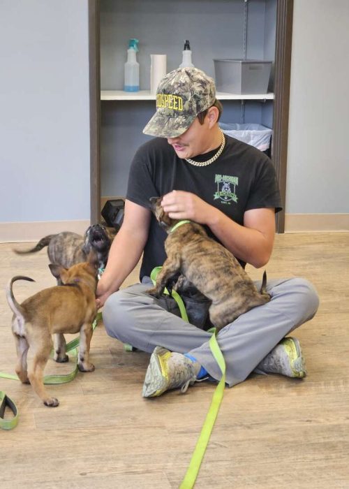 6ed809c7_794d_4ef3_84dc_455177753bc5_227073a6-647a-43b9-9099-87dff89ee447